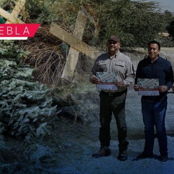 Donación de árboles de navidad te llevan a Africam Safari o Arboterra  