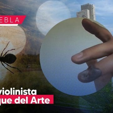 Joven es picado por araña violinista en el Parque del Arte; pagó 90 mil pesos por antídoto