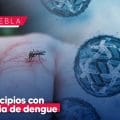 Mantiene Puebla presencia de dengue en 80 municipios: Salud