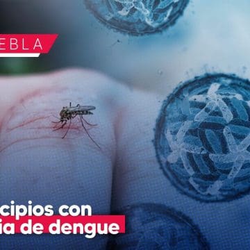 Mantiene Puebla presencia de dengue en 80 municipios: Salud