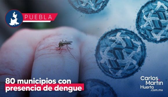Mantiene Puebla presencia de dengue en 80 municipios: Salud