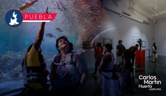 Última Noche de Museos de 2024; sábado 28 de diciembre