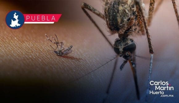 Reporta Salud 4 mil 585 casos acumulados de dengue en Puebla en 2024