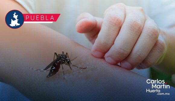 Van 4 mil 955 casos de dengue en 81 municipios de Puebla