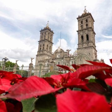 Arquidiócesis de Puebla coloca nacimiento navideño monumental en la Curia Arzobispal