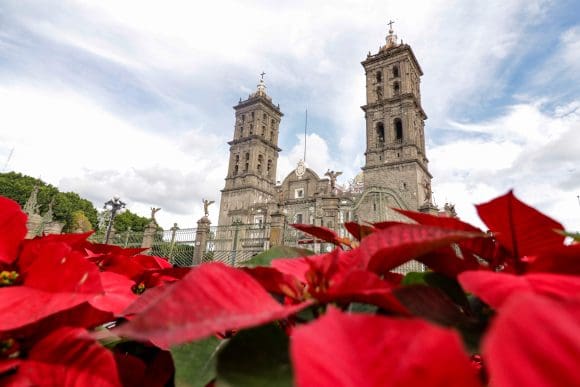 Arquidiócesis de Puebla coloca nacimiento navideño monumental en la Curia Arzobispal