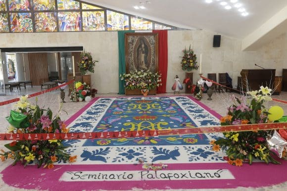Fervor y devoción en la celebración de la Virgen de Guadalupe