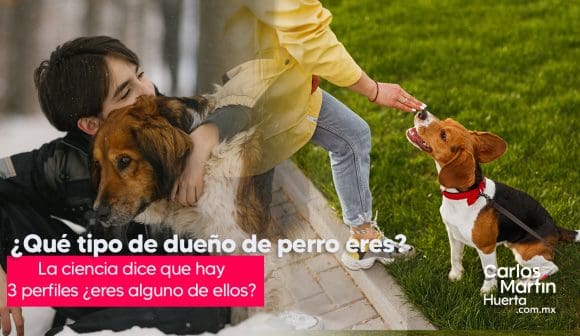 Descubre qué tipo de dueño de perro eres según la ciencia