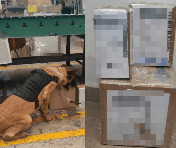 Diseño sin título (86) La Policía de la Ciudad asegura narcótico en empresa de paquetería