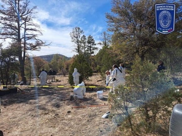 Hallan 56 cadáveres en fosas clandestinas en Chihuahua