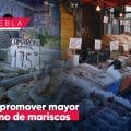 Buscan promover mayor consumo de pescados y mariscos en Puebla