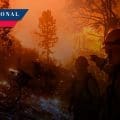 Suman cinco muertos por incendios en California