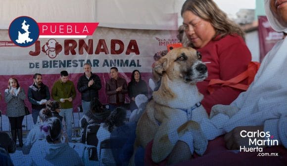 Impulsa Gobierno de la Ciudad jornada de bienestar animal en la colonia Revolución Mexicana
