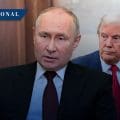 Putin dispuesto a reunirse con Trump para hablar de lo que le interesa a Rusia y EE.UU.