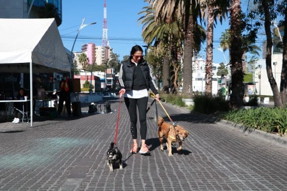 Reactivación de la Vía Recreativa de Puebla con nuevas actividades deportivas