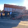 Tragedia en la carretera Puebla-Tehuacán: Choque deja tres muertos y 7 heridos