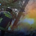 ¡Protege nuestros bosques! Sigue estas recomendaciones para evitar incendios forestales