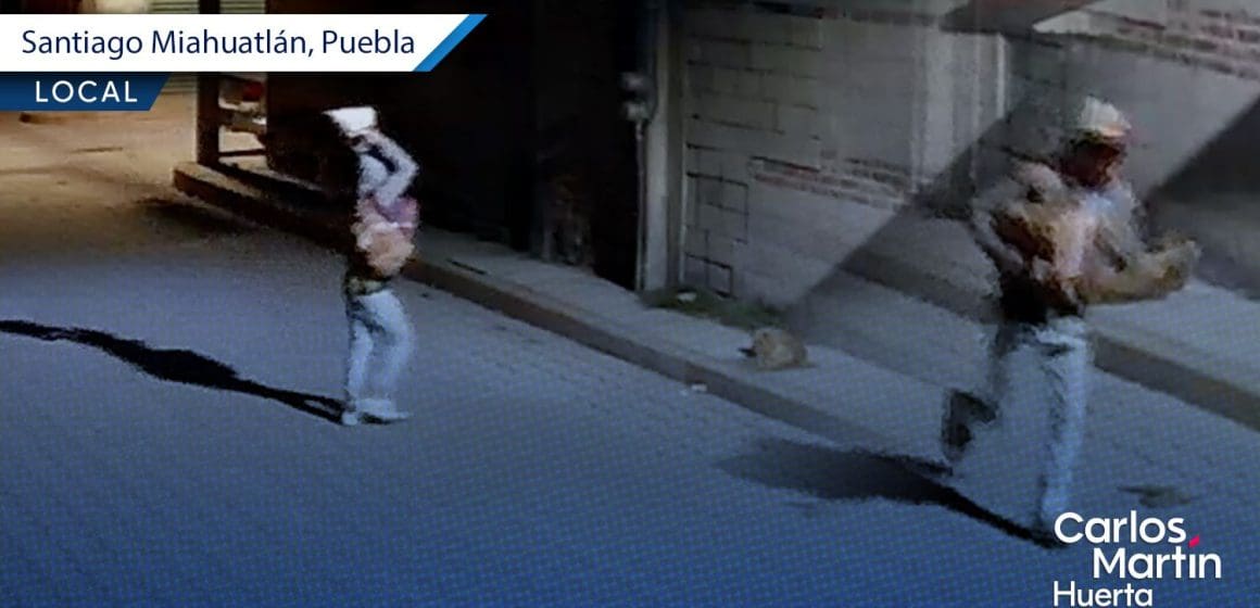 Ataque a ‘Huesitos’ en Santiago Miahuatlán; detienen a agresor por maltrato animal