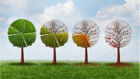 Primavera adelantada: un síntoma del cambio climático en México