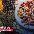 Día mundial de las legumbres: un tesoro nutricional