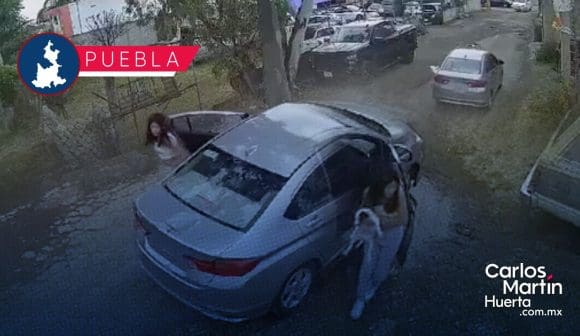 Joven abandona dos cachorros en Arboledas de Xilotzingo; intentan alcanzarla