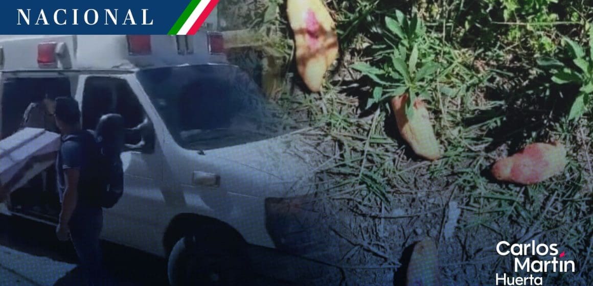 Tragedia en Chiapas: Tres niños murieron al ingerir pan envenenado