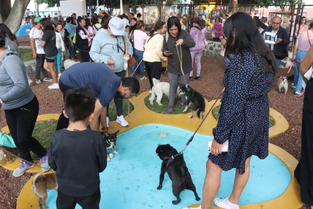 Parque para mascotas en Atlixco