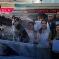 Puebla a favor de los animales; acuerdan “Plan Cero Tolerancia al Maltrato y Crueldad Animal”