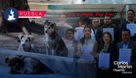 Portada Puebla a favor de los animales; acuerdan Plan Cero Tolerancia al Maltrato y Crueldad Animal CMH Puebla a favor de los animales; acuerdan “Plan Cero Tolerancia al Maltrato y Crueldad Animal”