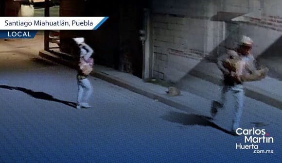 Probable responsable de maltrato animal continúa detenido, a disposición del Juez de Control de Tehuacán