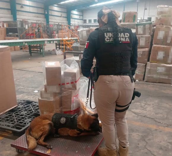 SSC asegura más de 16 kg de narcóticos en empresa de paquetería en Puebla