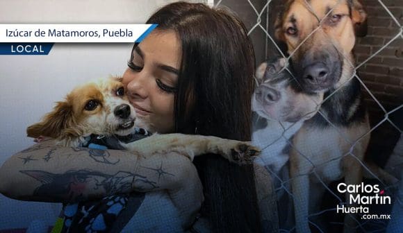 Karely Ruiz dona a refugio ‘Patitas Pintadas’ en Izúcar de Matamoros