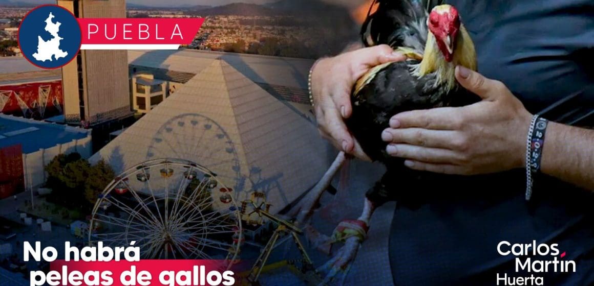 Palenque de Puebla no contará con peleas de gallos