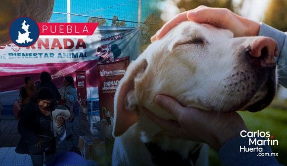 Puebla impulsa jornadas de protección animal en Xonaca e Historiadores