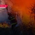 Puebla intensifica operativos contra incendios forestales: Alejandro Armenta anuncia acciones