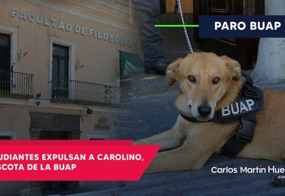 Carolino, el perro guardián de la BUAP, es expulsado: ¿Una decisión necesaria o un error?