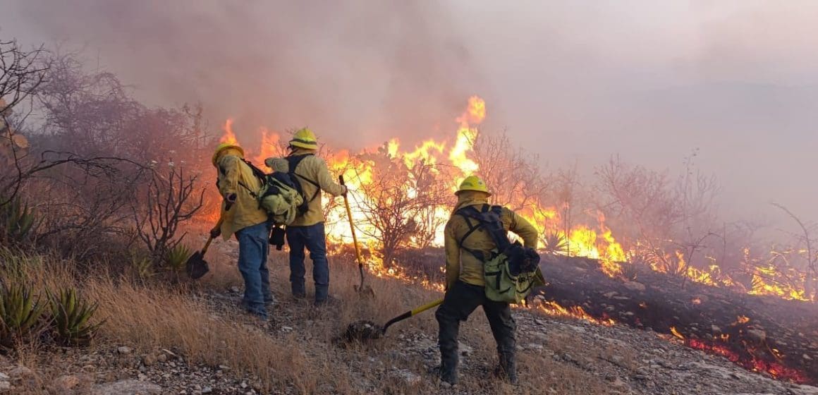 En sinergia, Protección Civil Estatal trabaja para sofocar incendio forestal en Tehuacán