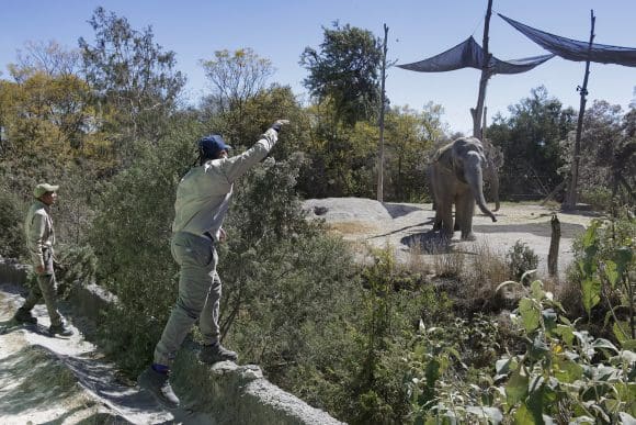 ¿Buscas trabajo en Puebla? Africam abre vacantes temporales para Semana Santa 