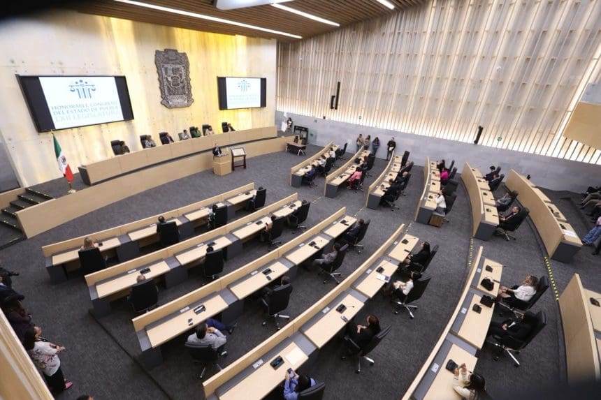 Congreso aprueba dictamen para suprimir el Instituto de Bienestar Animal y transferir sus atribuciones al SEDIF