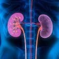 En México 12% de la población padece una enfermedad renal