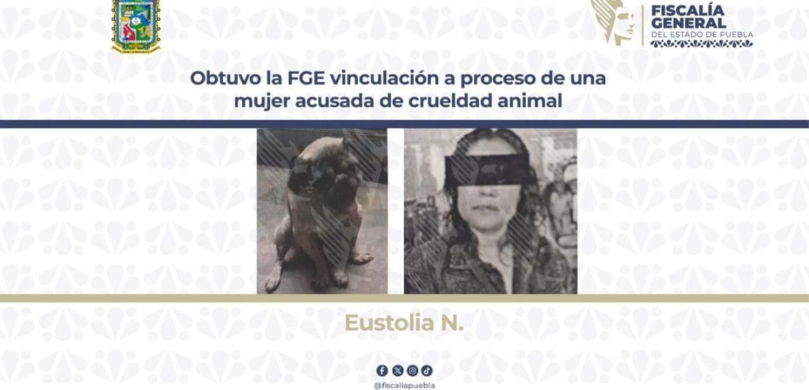 Vinculan a proceso a mujer por crueldad animal en Puebla