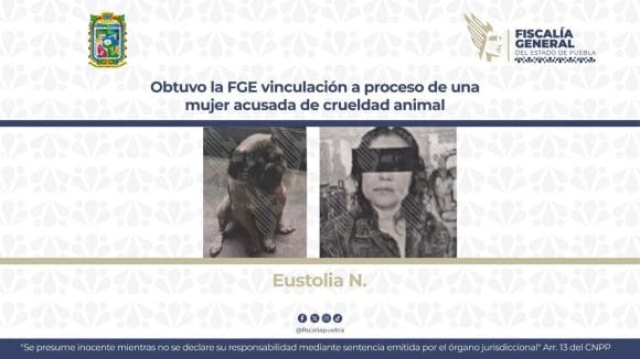 Vinculan a proceso a mujer por crueldad animal en Puebla