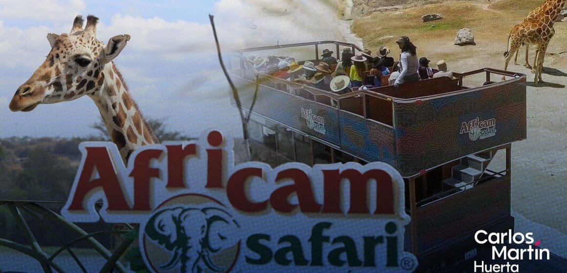 Africam Safari cumple 53 años
