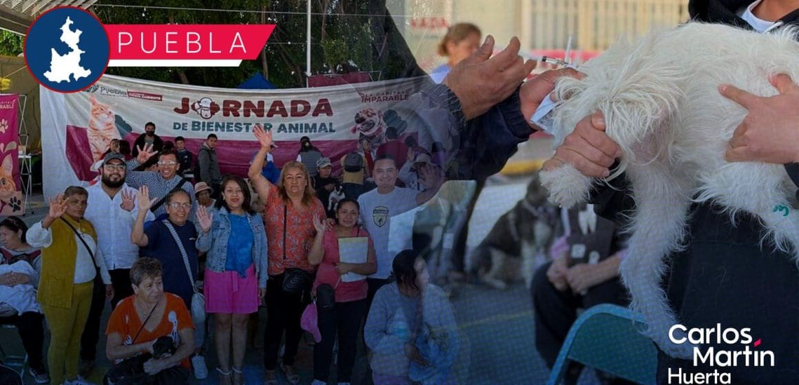 Bienestar animal en Puebla: Realizan jornada de vacunación y esterilización en Valle del Paraíso