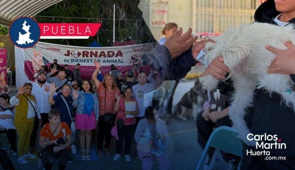 Portada Bienestar animal en Puebla Realizan jornada de vacunación y esterilización en Valle del Paraíso CMH Bienestar animal en Puebla: Realizan jornada de vacunación y esterilización en Valle del Paraíso