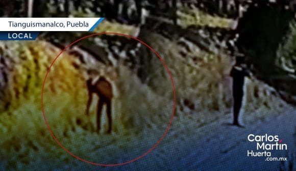 Portada Hombre provoca incendio intencional en Tianguismanalco; vecinos logran controlar las llamas CMH Hombre provoca incendio intencional en Tianguismanalco; vecinos logran controlar las llamas