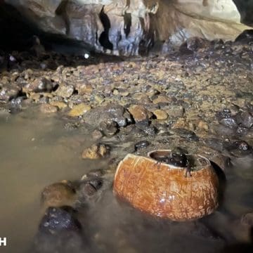 INAH reporta sorprendente hallazgo de piezas en cueva Tlayócoc de Guerrero