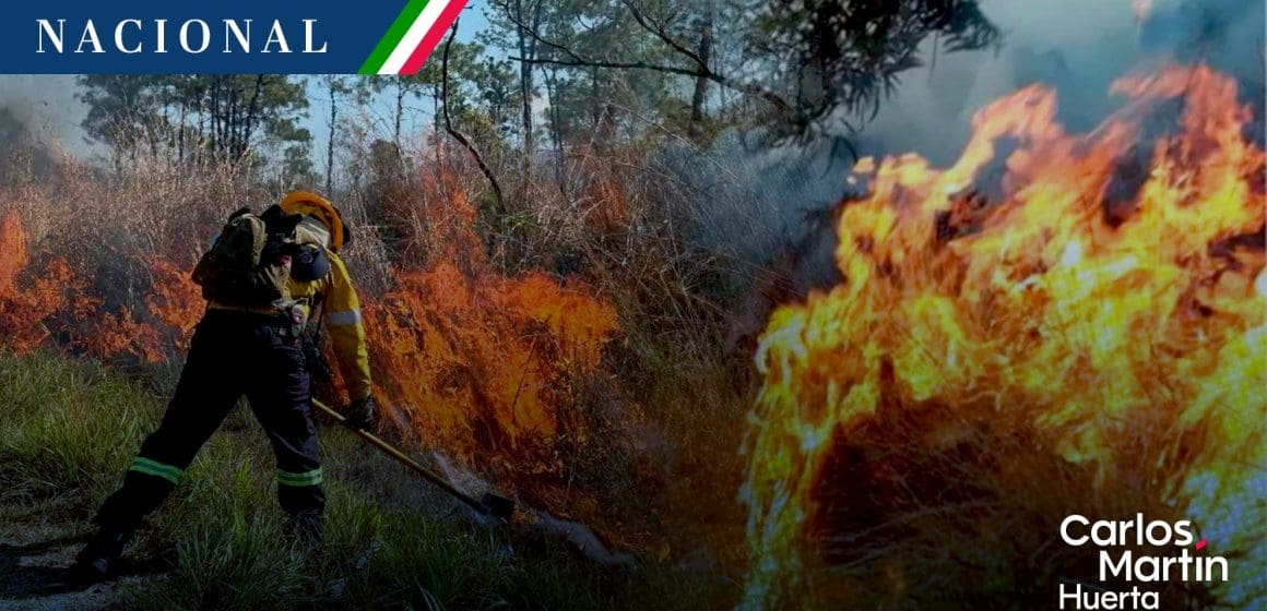 Hay 99 incendios forestales activos en México: Conafor