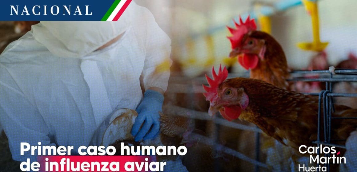 México confirma primer caso humano de influenza aviar A (H5N1)