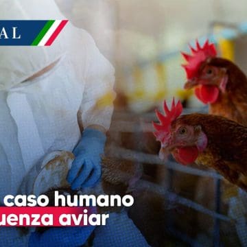 México confirma primer caso humano de influenza aviar A (H5N1)